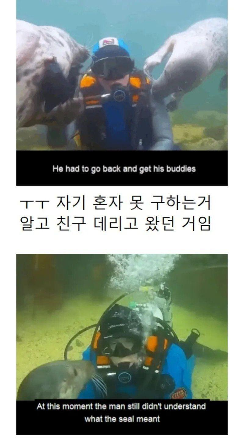85cc1196d3d3351a7a59f2b55b33bac5_1739870561_9661.jpg