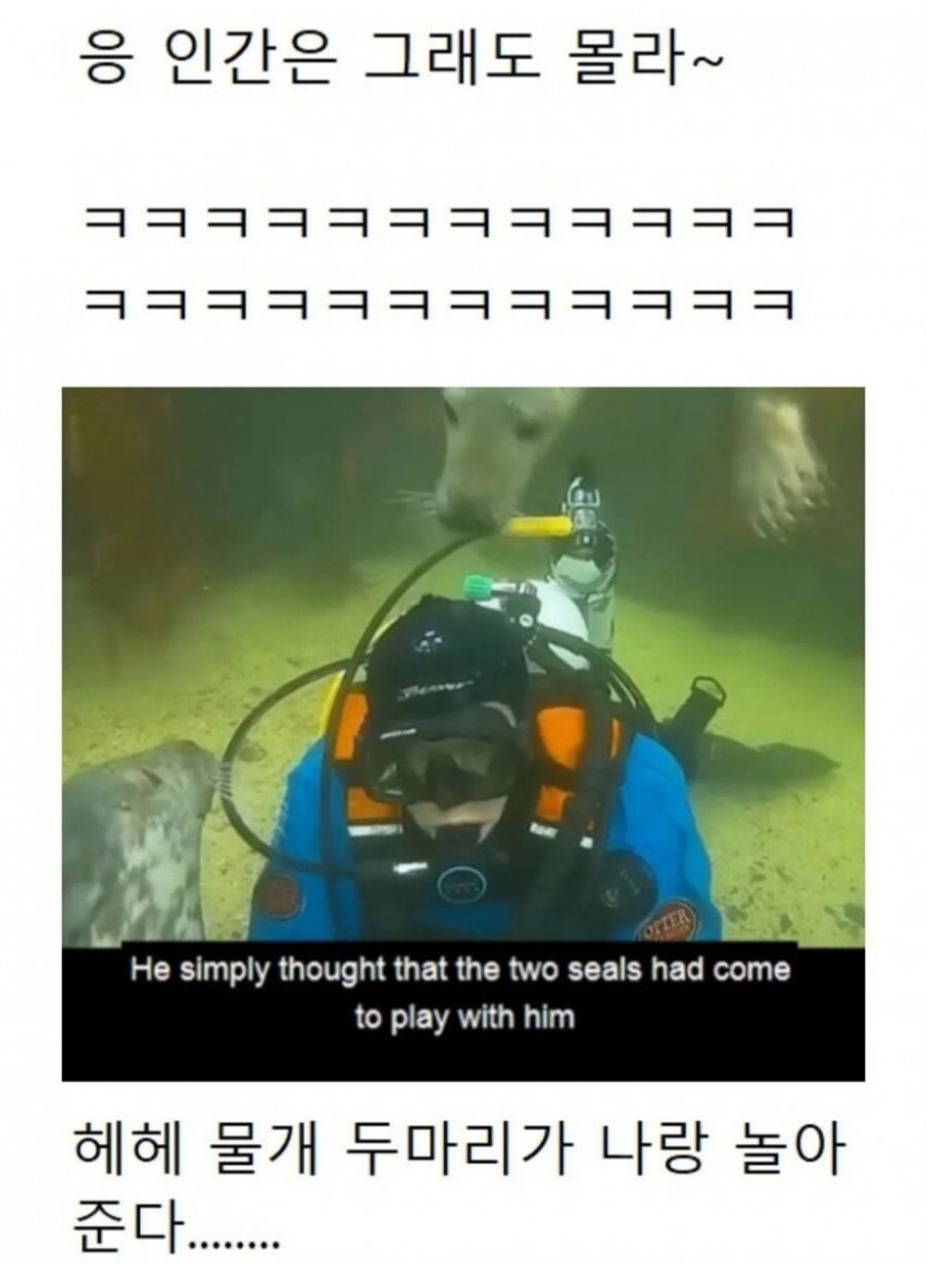 85cc1196d3d3351a7a59f2b55b33bac5_1739870562_3306.jpg