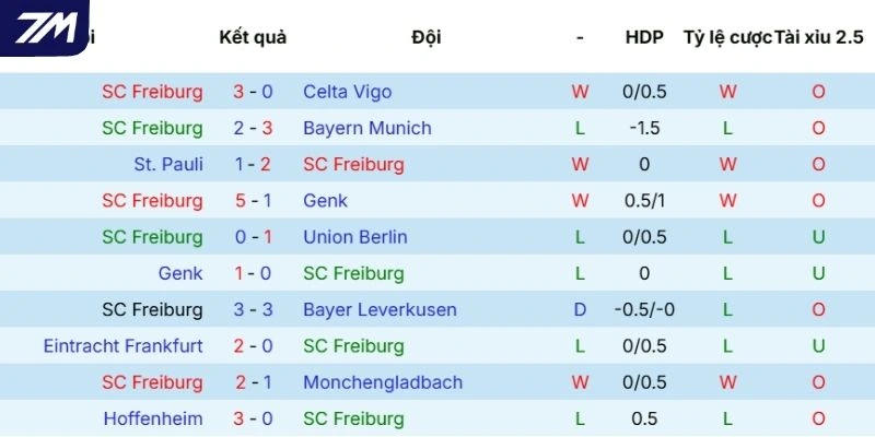 Hiệu suất thi đấu của Freiburg
