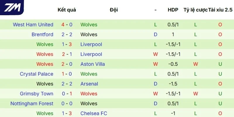 Thành tích thi đấu gần đây của Wolves