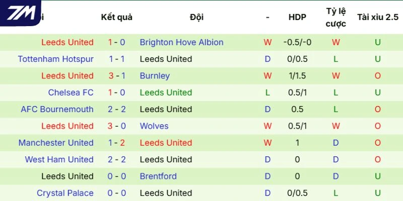 Ấn tượng trên sân của Leeds United