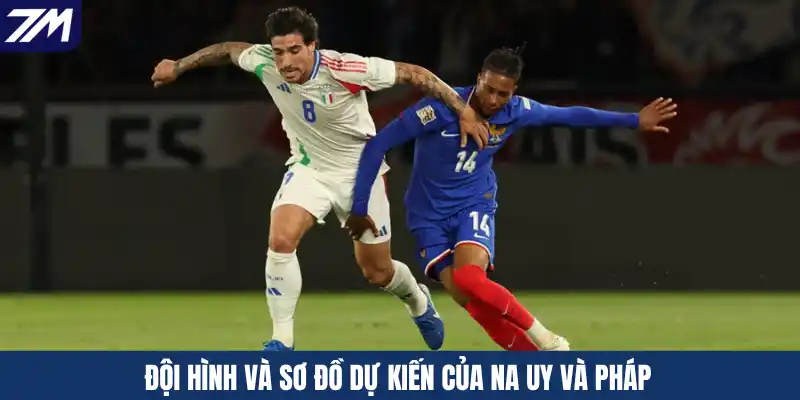 Đội hình và sơ đồ dự kiến của Na Uy và Pháp