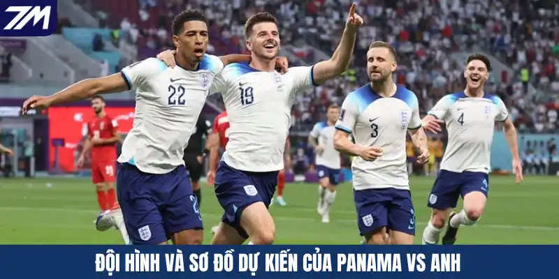 Đội hình và sơ đồ dự kiến của Panama vs Anh