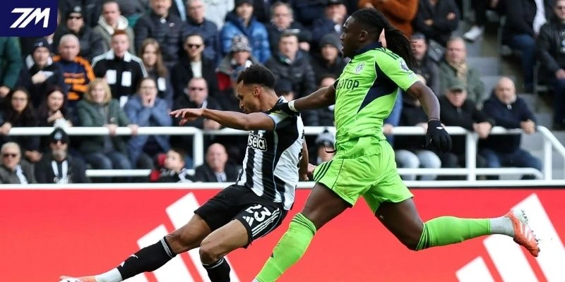 Nhận định Fulham vs Newcastle United trước trận