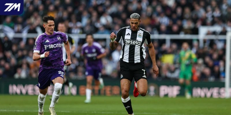 Phân tích tỷ lệ kèo Fulham vs Newcastle United