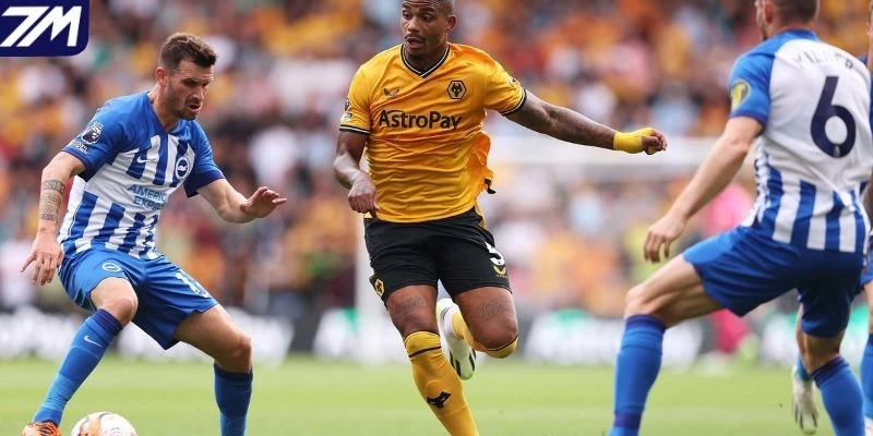 Đánh giá phong độ của Brighton vs Wolves